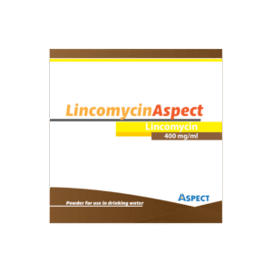 Lincomycin_Aspect